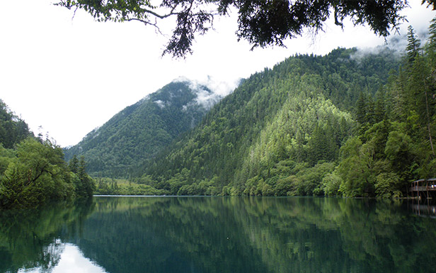 九寨沟，清幽静谧的熊猫海，湖面开阔而绵长，水色碧蓝，山色倒影历历，自然之美，美得自然！